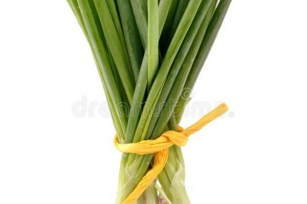 Black sprut onion link